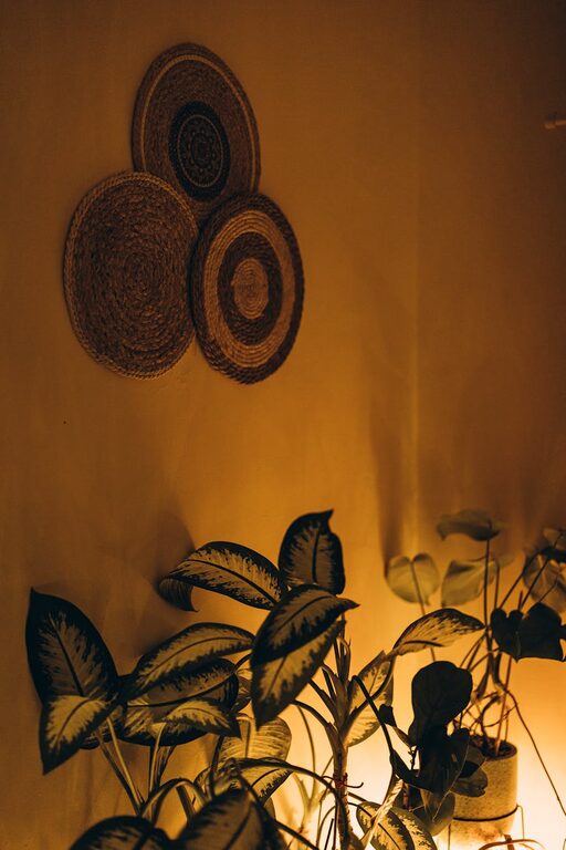 Tips for Creating a Cozy and Inviting Home Environment on a Budget